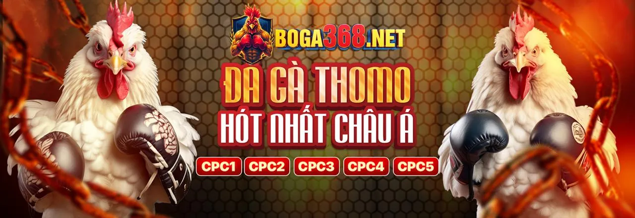 Đá gà trực tuyến sôi động tại 789b info